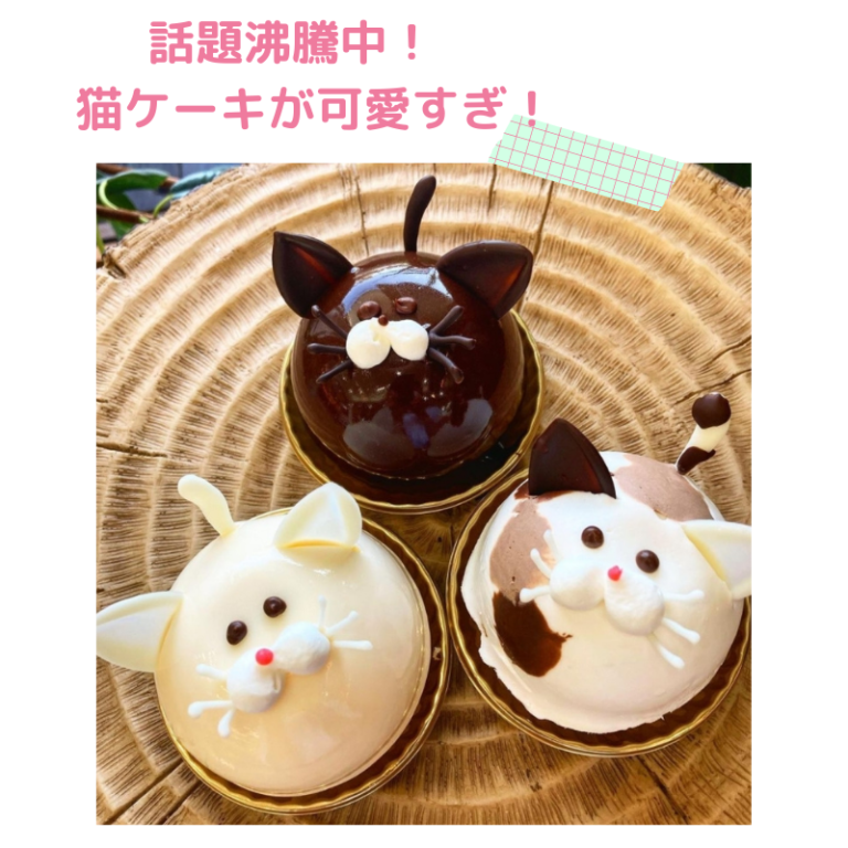 猫ケーキの兵庫県ミネットは猫好き オーダーケーキの値段やデザインは いまきになる